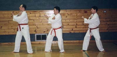 Adult Martial Arts Adults1