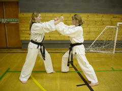 Ladies Tae Kwon-Do Adults2